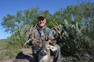 Whitetail